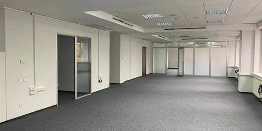 st. ul. Zhilyanskaya 110 Office Rental in Kiev 20632