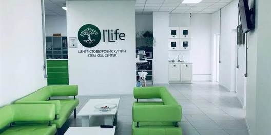 Rent an Office in Kiev Kiev Center Pechersk