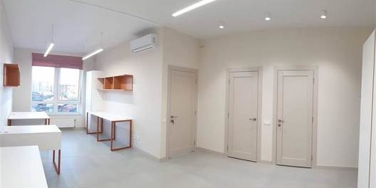 st. Zhilyanskaya 68 Office Rental in Kiev 19202